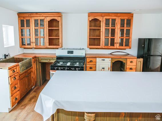 1290 Echo Crk Unit 2, Echo, UT 84024 - kitchen featuring light countertops, light wood-style flooring, freestanding refrigerator, stainless steel range with gas stovetop, and a sink