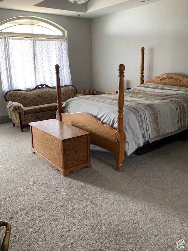 3606 E 375 S, Roosevelt, UT 84066 - bedroom featuring carpet