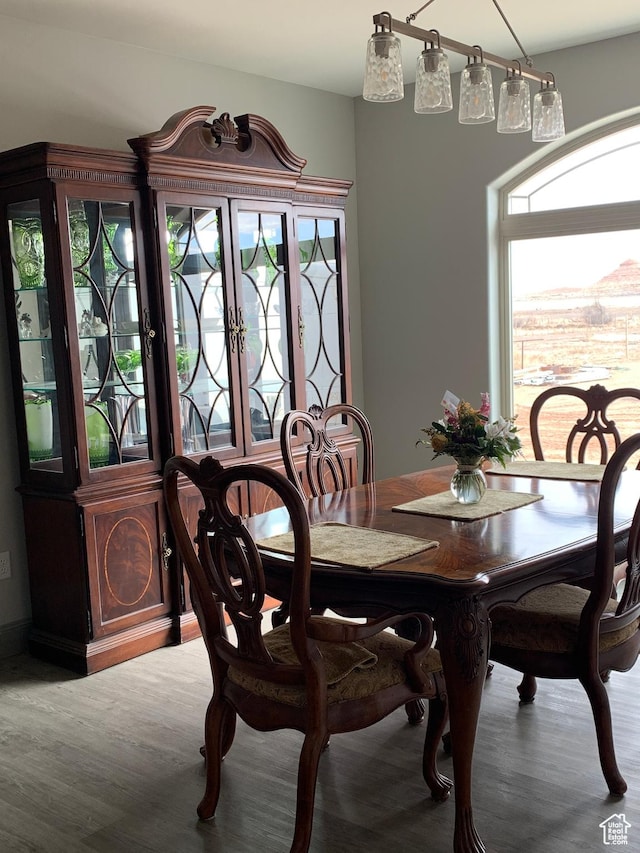 3606 E 375 S, Roosevelt, UT 84066 - dining area featuring a healthy amount of sunlight and wood finished floors