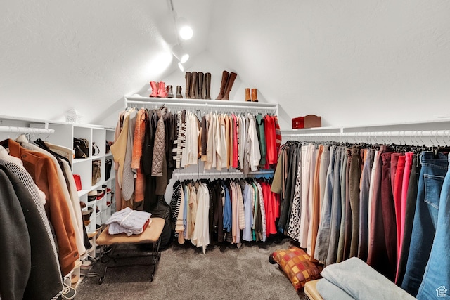 4520 S Countrylane Rd E, Millcreek, UT 84117 - spacious closet with vaulted ceiling and carpet floors