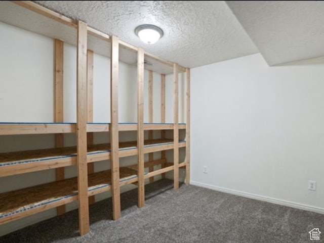 481 E Laurelwood Dr S, Kaysville, UT 84037 - finished below grade area with carpet flooring, baseboards, and a textured ceiling