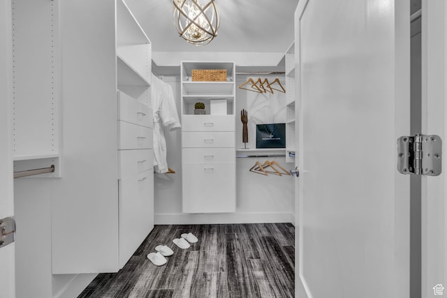 spacious closet with dark wood-type flooring