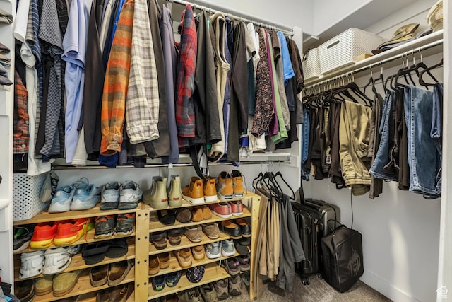 1879 N 925 E, North Ogden, UT 84414 - walk in closet featuring carpet