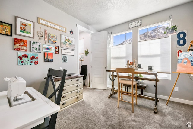 1879 N 925 E, North Ogden, UT 84414 - office featuring a textured ceiling, carpet, and baseboards
