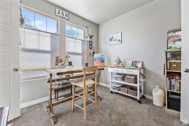 1879 N 925 E, North Ogden, UT 84414 - carpeted dining area with an office area, a textured ceiling, and baseboards