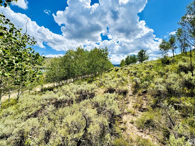 6 Aspen Cove Dr Unit 6, Scofield, UT 84526 - photo 6
