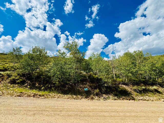 6 Aspen Cove Dr Unit 6, Scofield, UT 84526 - photo 10