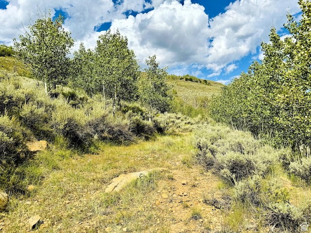 6 Aspen Cove Dr Unit 6, Scofield, UT 84526 - photo 7