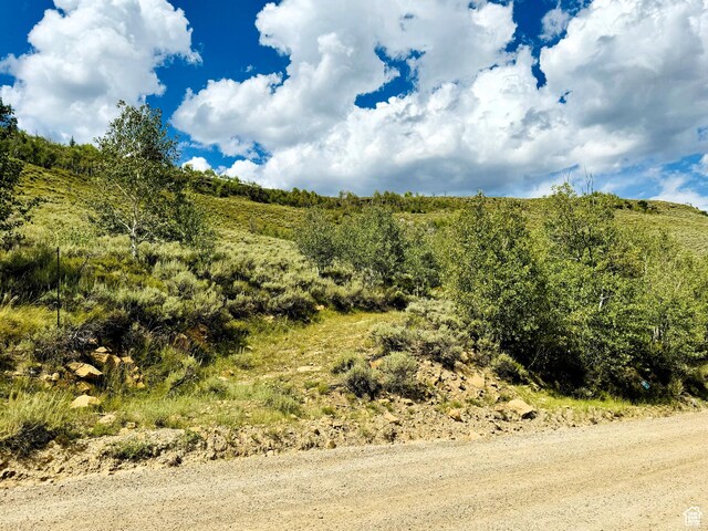 6 Aspen Cove Dr Unit 6, Scofield, UT 84526 - photo 8