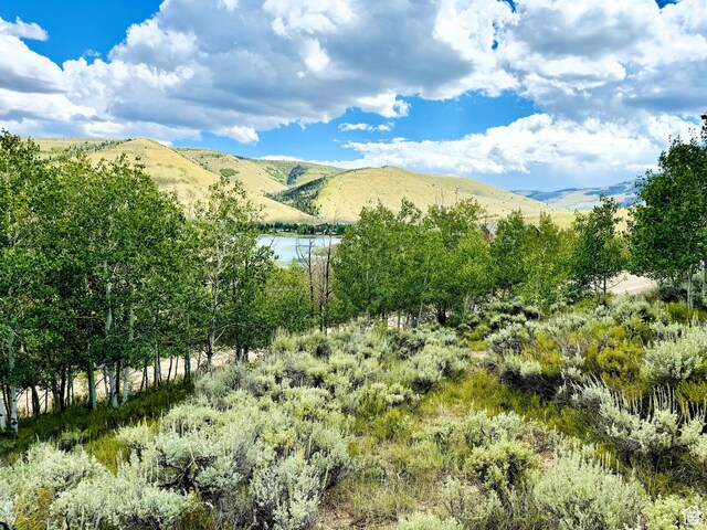 6 Aspen Cove Dr Unit 6, Scofield, UT 84526 - photo 5