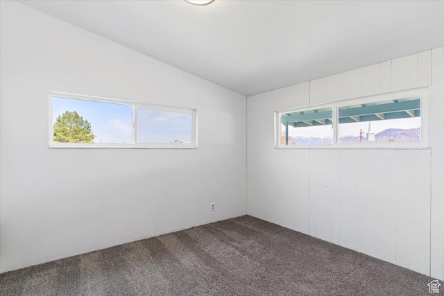 405 W 5100 S, Washington Terrace, UT 84405 - spare room featuring vaulted ceiling and dark carpet