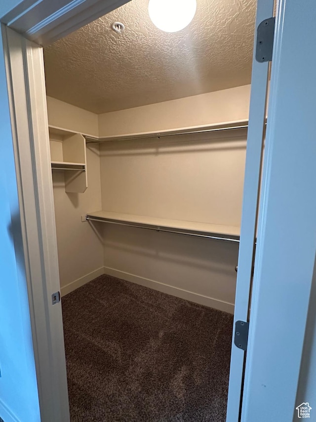 1045 S 1700 W Unit 1121, Payson, UT 84651 - walk in closet featuring dark carpet