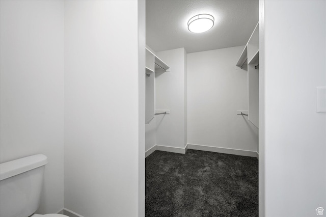 641 S 85 E Unit 29, Smithfield, UT 84335 - walk in closet with dark carpet