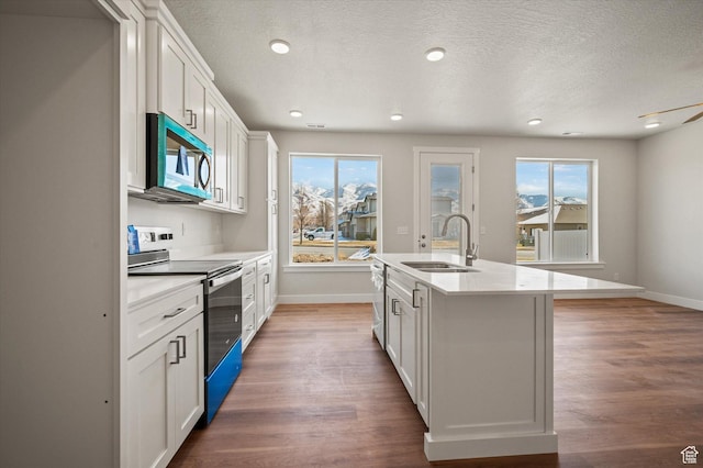 635 S 85 E Unit 26, Smithfield, UT 84335 - kitchen featuring plenty of natural light, wood finished floors, appliances with stainless steel finishes, and a sink