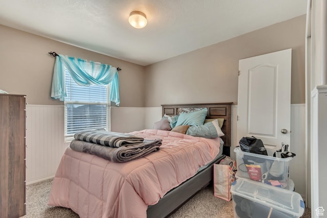 1114 Alexander Ct, Grantsville, UT 84029 - bedroom with a wainscoted wall and carpet flooring
