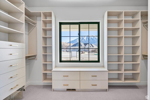 spacious closet featuring light colored carpet