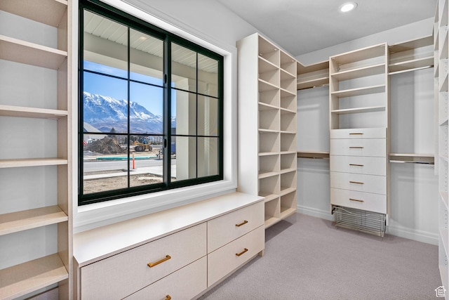 spacious closet with light carpet