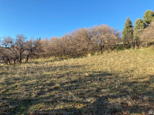 11 E Bent Hollow Ln Unit 1141, Sandy, UT 84092
