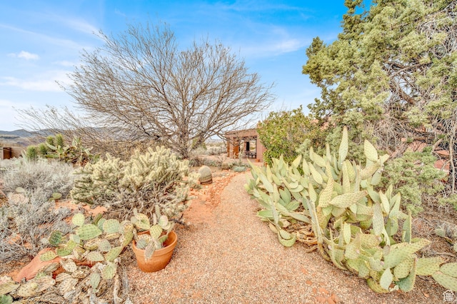 1657 N Kayenta Dr, Ivins, UT 84738 - view of yard