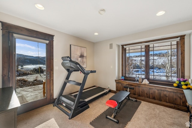 9255 Par Ct, Park City, UT 84098 - workout area with plenty of natural light, recessed lighting, baseboards, and carpet
