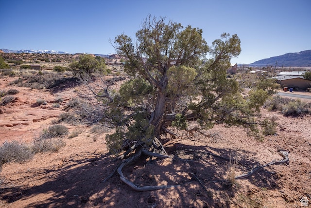 3239 Carroll Dr, Moab, UT 84532