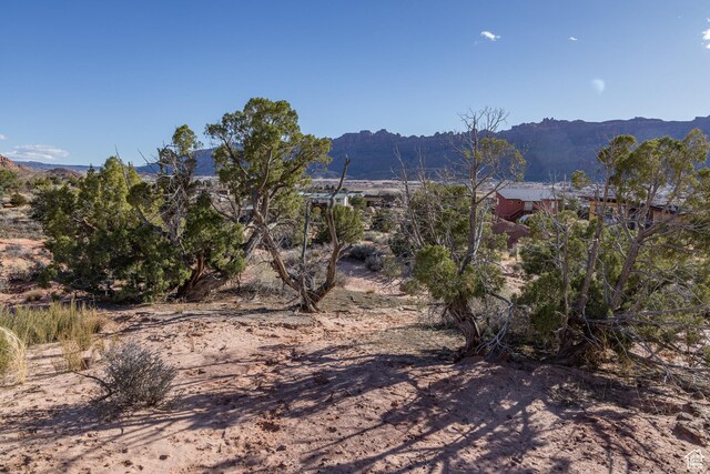 3239 Carroll Dr, Moab, UT 84532
