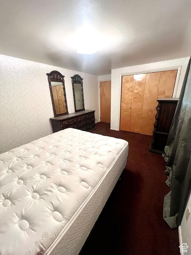 305 N 200 E, Elsinore, UT 84724 - bedroom featuring dark colored carpet and a closet