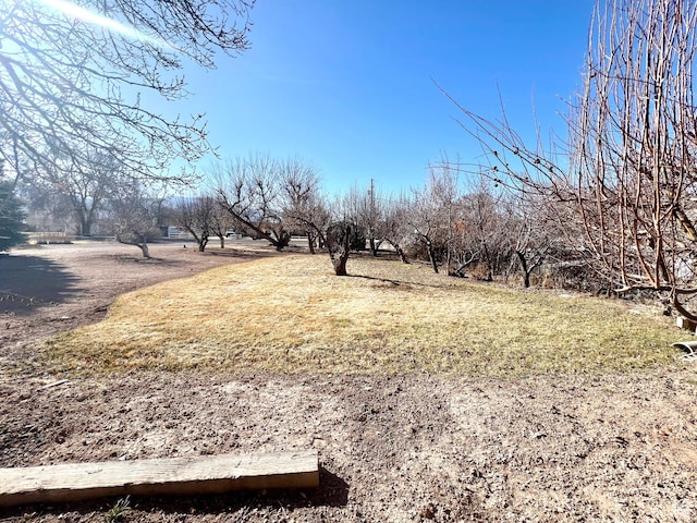 305 N 200 E, Elsinore, UT 84724 - view of yard