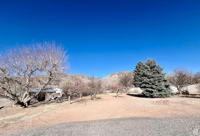 305 N 200 E, Elsinore, UT 84724 - view of yard with a mountain view