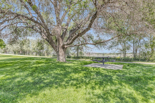 990 W Adams Cir, Bluffdale, UT 84065 - view of yard