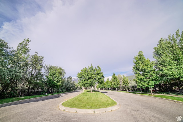 990 W Adams Cir, Bluffdale, UT 84065 - view of road with curbs