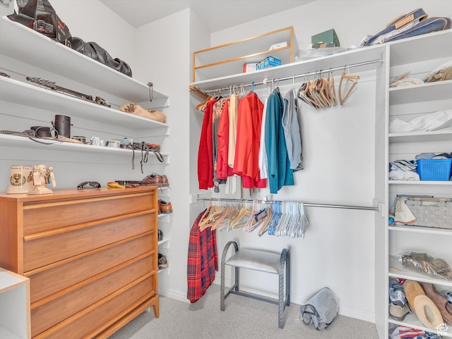 walk in closet featuring carpet floors
