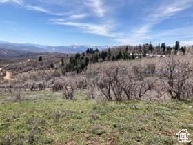 145 W Forest Meadow Rd Unit 145, Coalville, UT 84017