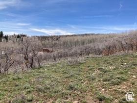145 W Forest Meadow Rd Unit 145, Coalville, UT 84017