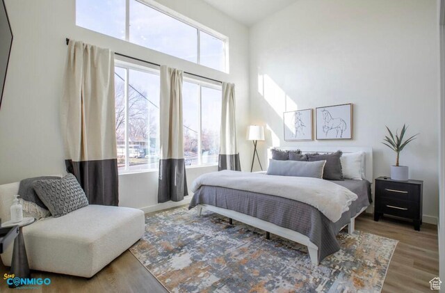bedroom featuring a high ceiling, multiple windows, baseboards, and wood finished floors