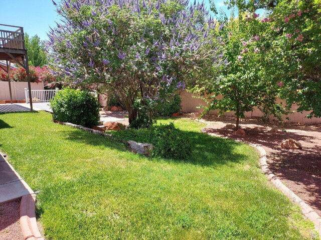 187 N Stone Mountain Dr, St George, UT 84770 - view of yard
