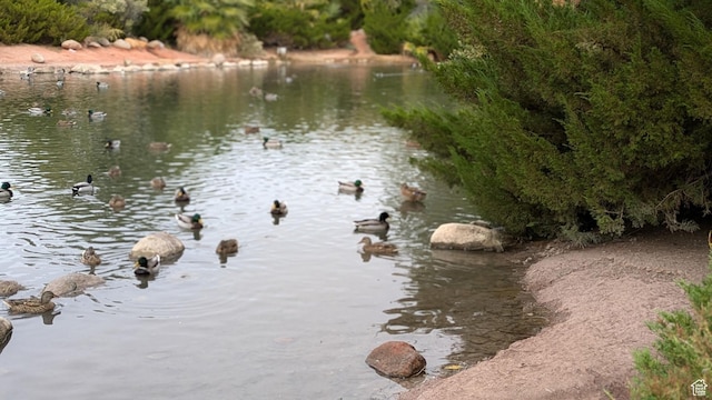 187 N Stone Mountain Dr, St George, UT 84770 - water view
