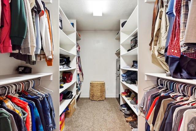 4884 E 2800 N, Eden, UT 84310 - walk in closet featuring carpet flooring
