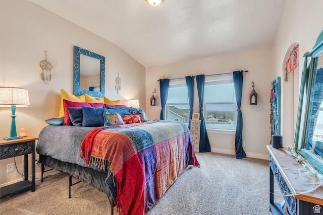 80 Pheasant, Elk Ridge, UT 84651 - carpeted bedroom with multiple windows, baseboards, and lofted ceiling