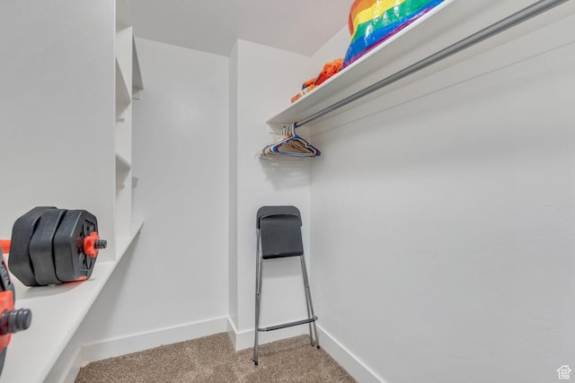 80 Pheasant, Elk Ridge, UT 84651 - spacious closet featuring carpet floors