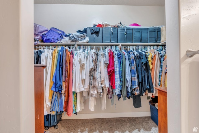 80 Pheasant, Elk Ridge, UT 84651 - spacious closet featuring carpet floors