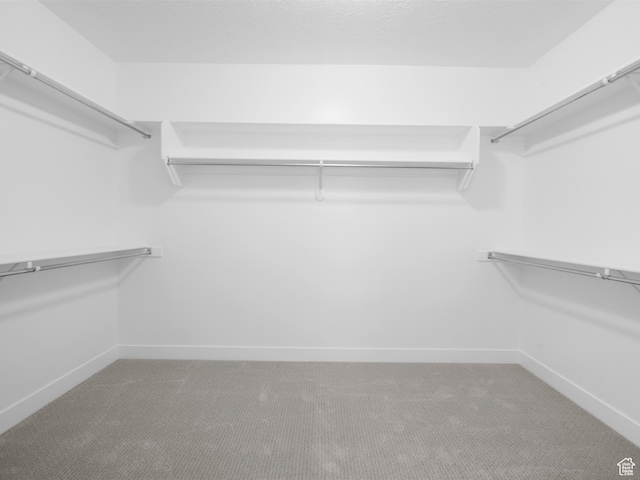 1171 W 800 S Unit 38, Spanish Fork, UT 84660 - walk in closet with carpet flooring
