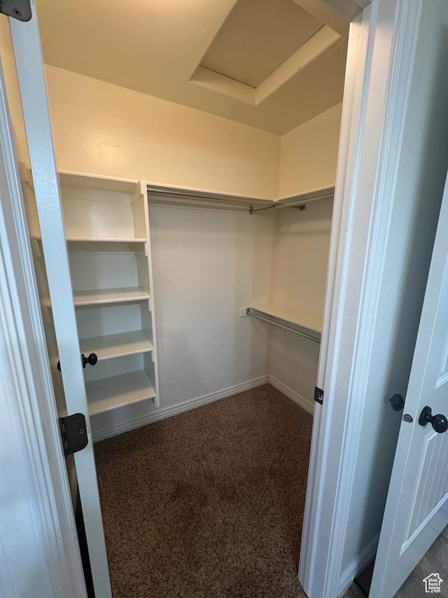 spacious closet with attic access and dark colored carpet
