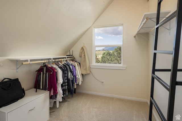 684 W Blue Mountain Rdg, Monticello, UT 84535 - photo 22