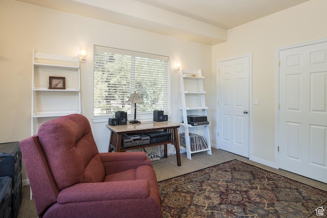 684 W Blue Mountain Rdg, Monticello, UT 84535 - photo 15