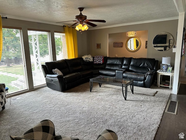 371 S Willard Peak Rd S, Mantua, UT 84324 - living area with visible vents, a textured ceiling, ornamental molding, and a ceiling fan
