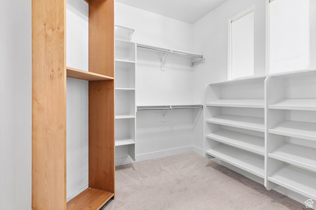1228 E 1030 N, American Fork, UT 84003 - walk in closet with carpet