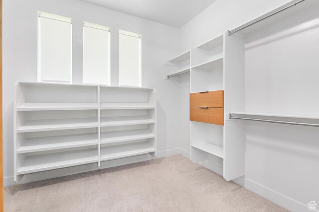 1228 E 1030 N, American Fork, UT 84003 - spacious closet with carpet flooring