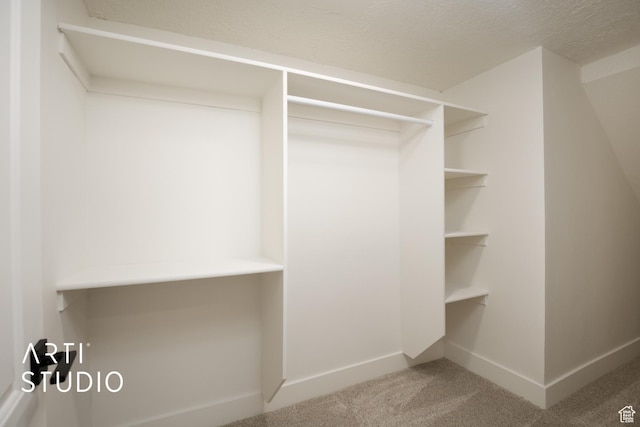 walk in closet with carpet