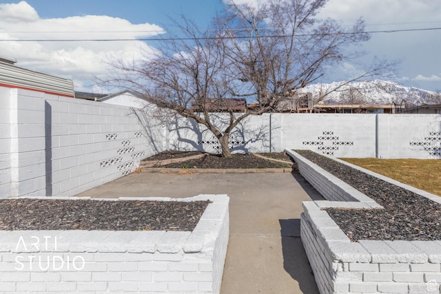view of yard with a patio and a fenced backyard